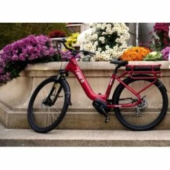 T-Bird Bora-Bora 2022