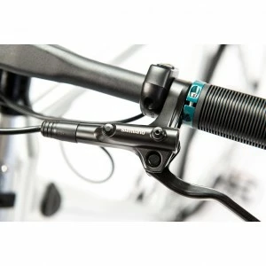 Watt Brooklyn – Image 5